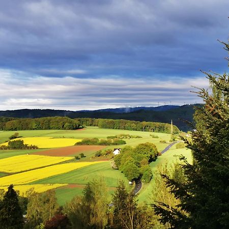 Geraeumige 2-Z Wohnung Im Gruenen, Garten, Terrasse, Ruhig, Natur, Phantastischer Blick! Marburg Luaran gambar