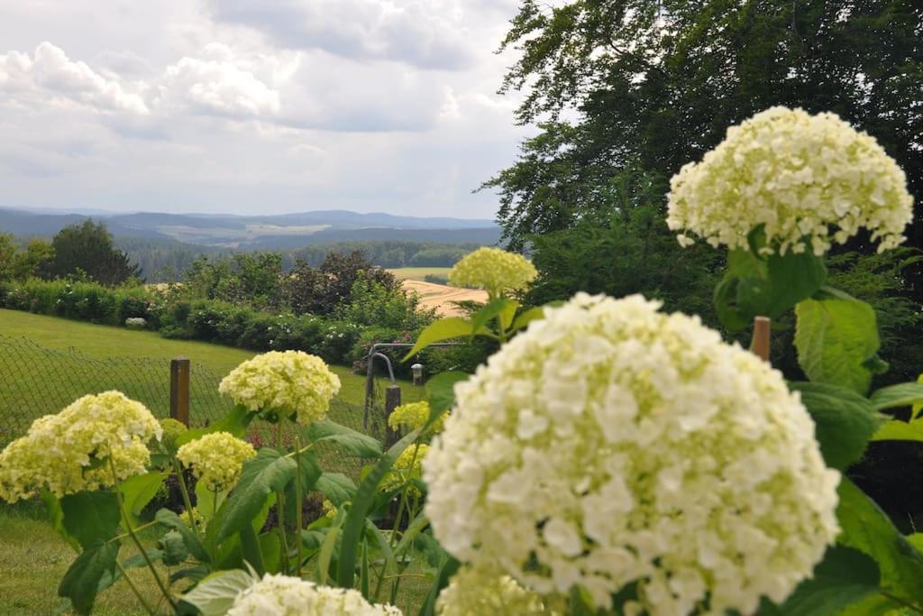 Geraeumige 2-Z Wohnung Im Gruenen, Garten, Terrasse, Ruhig, Natur, Phantastischer Blick! Marburg Luaran gambar