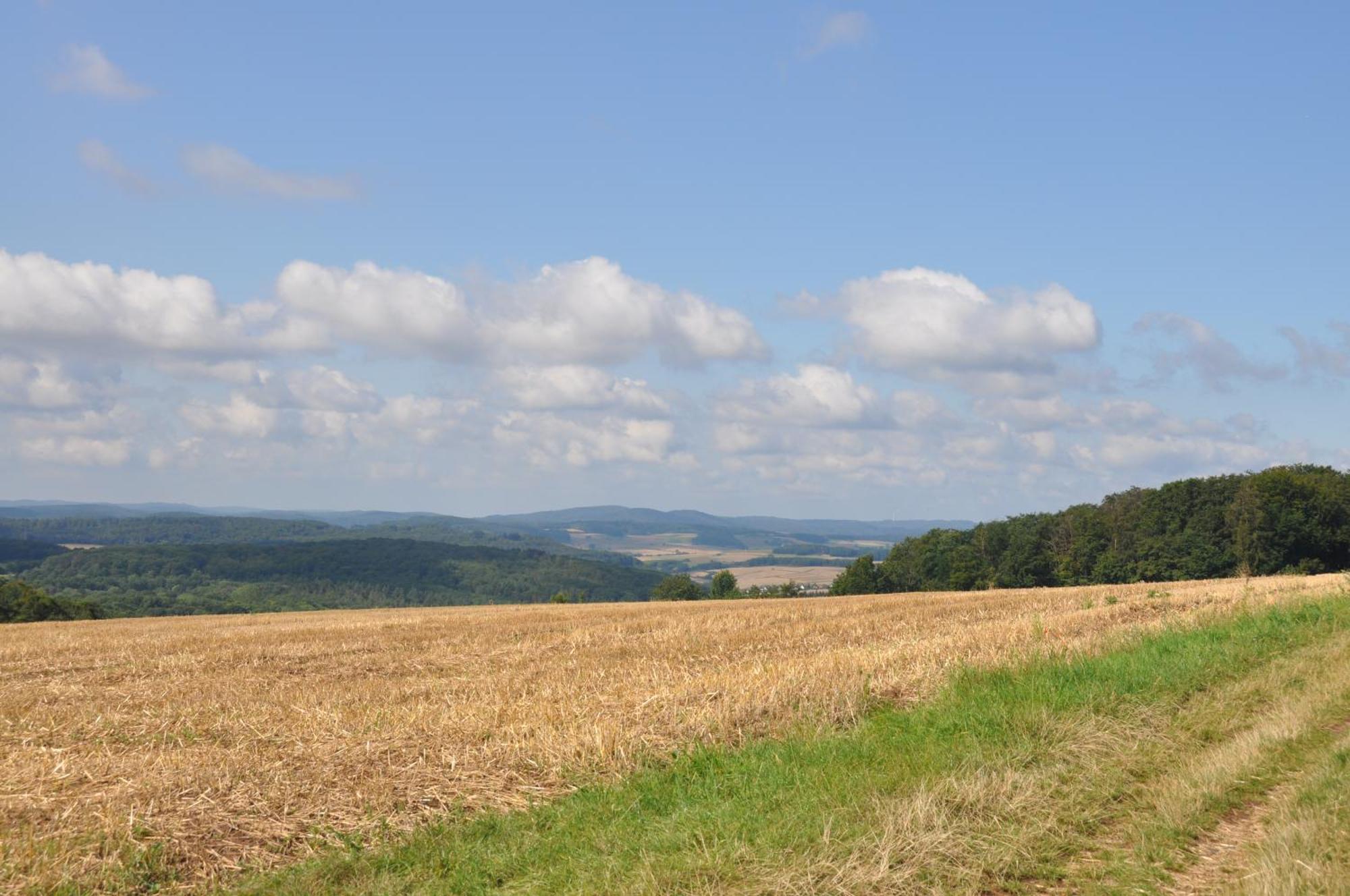 Geraeumige 2-Z Wohnung Im Gruenen, Garten, Terrasse, Ruhig, Natur, Phantastischer Blick! Marburg Luaran gambar